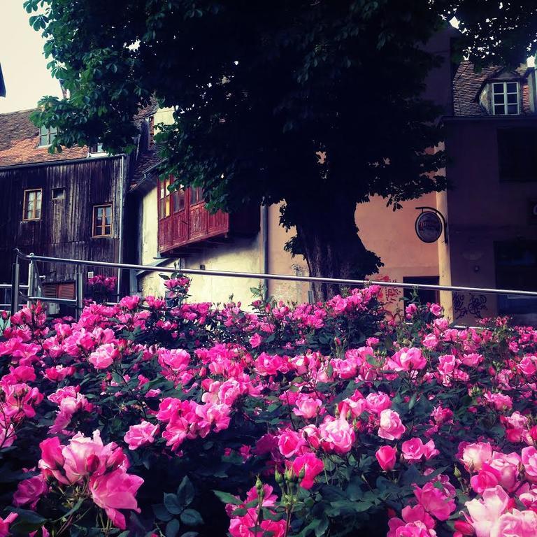 Apartment History ザグレブ エクステリア 写真